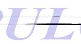 PROFILO MODANATURA PORTA POSTERIORE SX CROMATO PER RENAULT CAPTUR 10/2019> [OE 828D14808R]