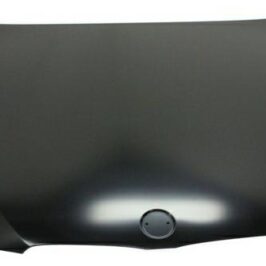 COFANO ANTERIORE PER BMW SERIE 3 E92 COUPE' -E93 CABRIO 02/2010> [OE 41007263070]