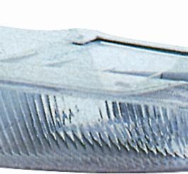FENDINEBBIA SX H3 PER CHRYSLER VOYAGER 01/1996>01/1998 [OE 4676539]