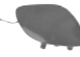 COPRIGANCIO PARAURTI ANTERIORE PER MERCEDES CLASSE C W205 LUXURY 01/2014> [OE A20588503249040]