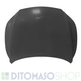 COFANO ANT LEXUS RX 01/23> ALLUM