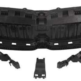 GRIGLIA INT BMW SERIE 3 G20 10/18>