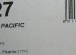 KIT ATTACCHI G3 PER PACIFIC