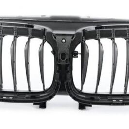 GRIGLIA RADIATORE INTERNA PER BMW SERIE 5 G30-G31 01/2016> OE 51747474368