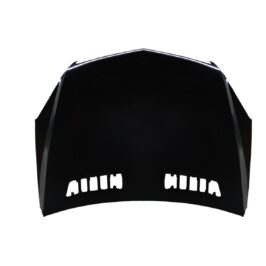 COFANO ANTERIORE PER MERCEDES CLASSE R V251 08/2005> [OE 2518800257]