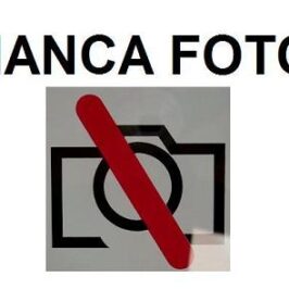 CALOTTA RETROVISORE DX C/PRIMER PER MERCEDES VITO W639 09/2003>09/2010