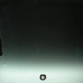 PARABREZZA INCAPSULATO VERDE FASCIA GRIGIA TETTO PANORAMICO PER CITROEN C3 11/2009> OE 1609739180