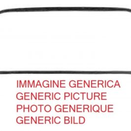 GUARNIZIONE LUNOTTO PER BMW S5 E39 BERLINA 09/1995>06/2003