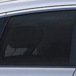 VETRO SCENDENTE FUME' DX PORTA POSTERIORE PER AUDI Q7 01/2006> OE 4L0845206A