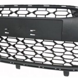 GRIGLIA PARAURTI ANTERIORE PER CITROEN C3 11/2009> OE 7422G3