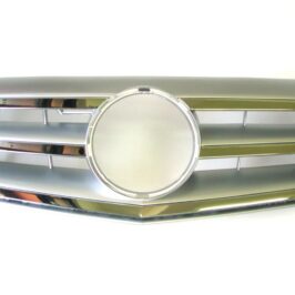 GRIGLIA RADIATORE CROMATA/GRIGIA PER MERCEDES CLASSE B W245 06/2008> [OE A1698802083]
