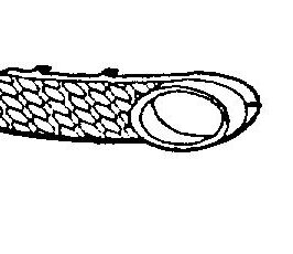 GRIGLIA FENDINEBBIA SX PER VW NEW BEETLE 01/2006>12/2010 [OE 1C0807683J01C]