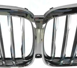 GRILGLIA RADIATORE CROMATA-CROMATA C/VISIONE NOTTURNA PER BMW X5 G05 08/2018> OE 51137454889