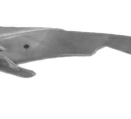 STAFFA  PARAURTI ANTERIORE ANGOLARE DX PER PORSCHE PANAMERA 01/2013> [OE 97050532800]