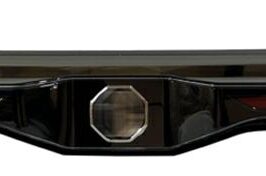 FANALE POSTERIORE CENTRALE PER MG 4 07/2022> OE 10976795