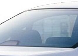 LUNOTTO VERDE TERMICO 3&deg; STOP+ANTENNA PER BMW S5 E39 BERLINA 09/1995>06/2003 OE 51318172414