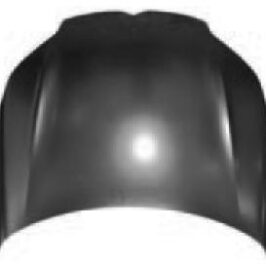 COFANO ANTERIORE PER CITROEN C5 01/2008>12/2011 [OE 7901P3]