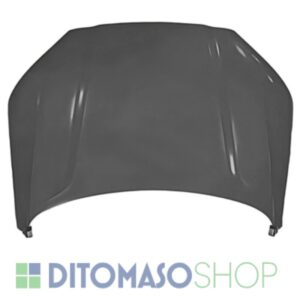 COFANO ANT BYD SEAL U 01/24>