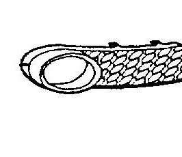 GRIGLIA FENDINEBBIA DX PER VW NEW BEETLE 01/2006>12/2010 [OE 1C0807684B01C]