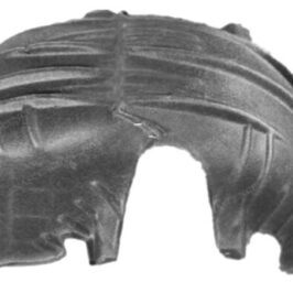 PARASASSI POSTERIORE DX PER FORD FOCUS 01/2018> [OE 2207655]