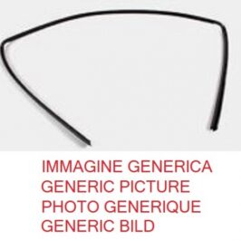 GUARNIZIONE PARABREZZA PER BMW Z4 2003>2006