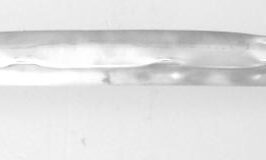 RINFORZO PARAURTI POSTERIORE PER RENAULT MEGANE 09/2002>12/2007