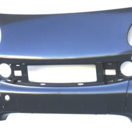 PARAURTI ANTERIORE CENTRALE PRIMERIZZATO PER SMART FORTWO 05/2002>02/2007-CABRIO 03/2000>02/2007 [OE Q0001721V009CP6A00]